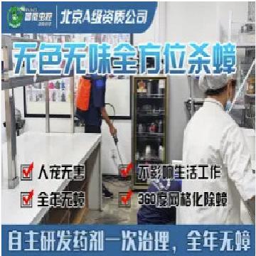 免烫高支棉条纹衬衣